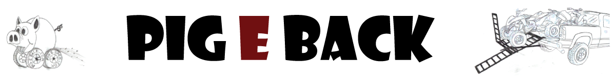 pigeback logo